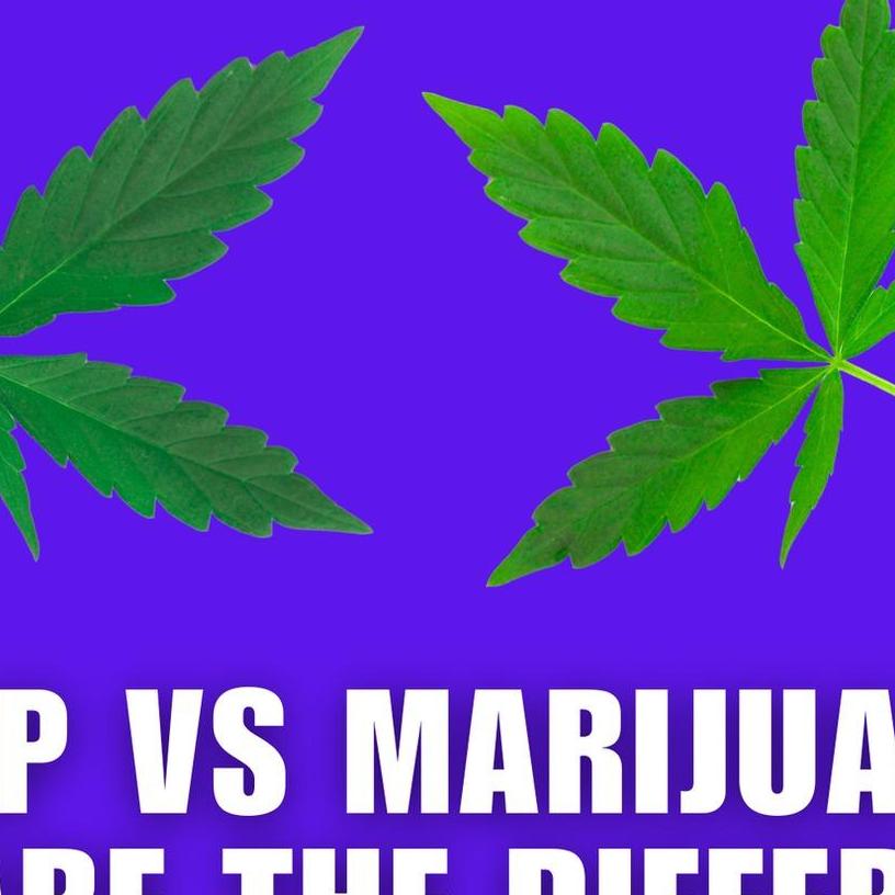 Ohio Marijuanacard