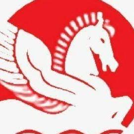 Singhal Industries