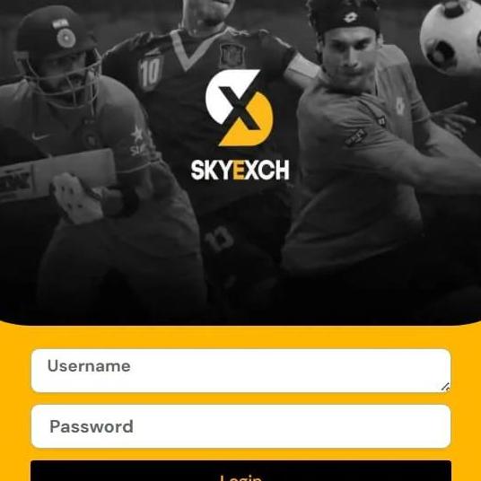 Sky Exchangee